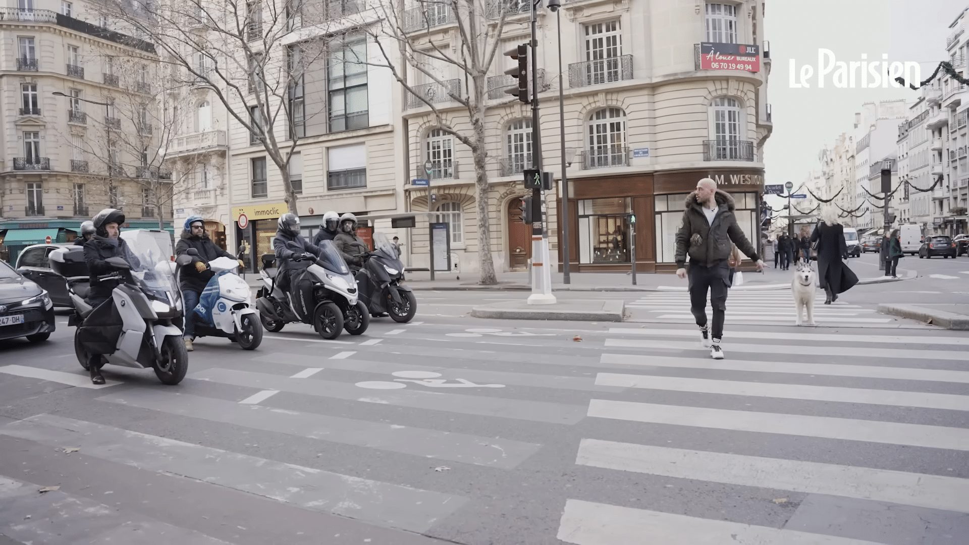 son chien a l'obéissance de son maître