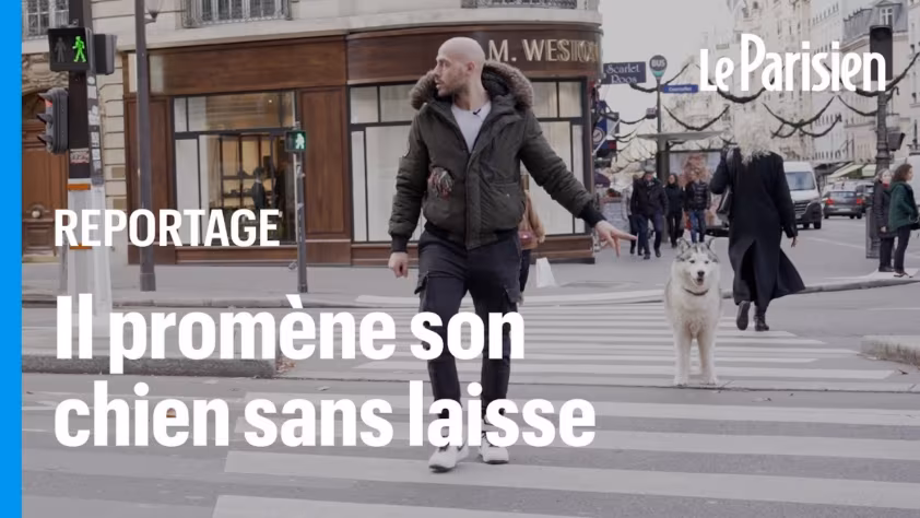 Promener son chien sans laisse à Paris : le combat de Thibault