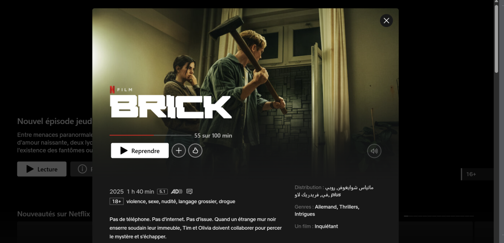 Film Brick netflix couverture